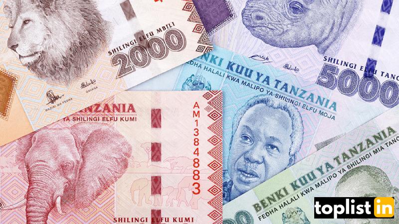Tanzanian Shilling (TZS):